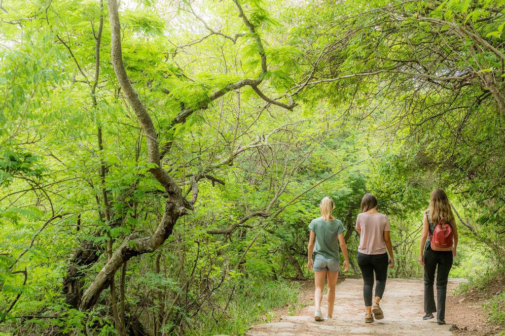 Naturaleza y Aire Libre
